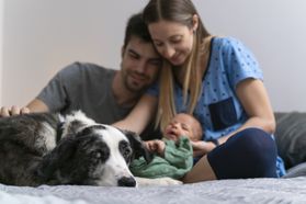 Baby und Hund - Tipps für ein entspanntes Zusammenleben