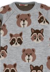 Denokids Bear&Raccoon Strickpullover Jungen grau 104 - 2