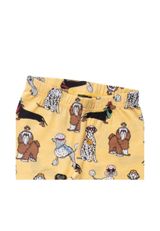 Villervalla Hunde gelb 86 - 2