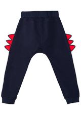 Denokids CFF-21S1-007 Dino T-Shirt & Pants Set Jungen dunkelblau 104 - 5