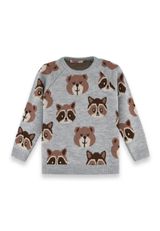 Denokids Bear&Raccoon Strickpullover Jungen grau 104 - 0