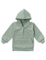 MaBu Kids Sweatshirt Nice, Wild & Cute Vert sauge 2-3A (98 cm) - 0