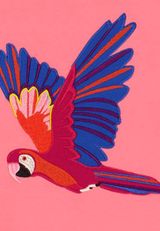 Fred s World by Green Cotton T-Shirt Unifarben pink 86 - 2