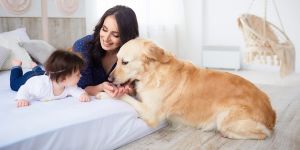 Baby und Hund - 5 Tipps für eine besondere Beziehung