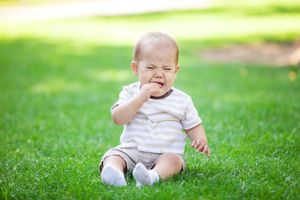 Lästige Insektenstiche bei Baby & Kleinkind – 6 hilfreiche Hausmittel vorgestellt