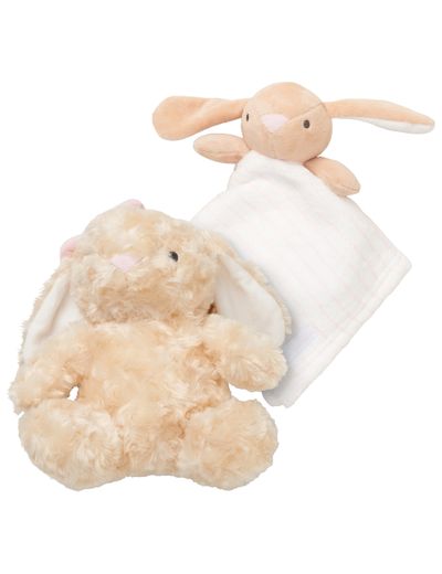 Set Hase