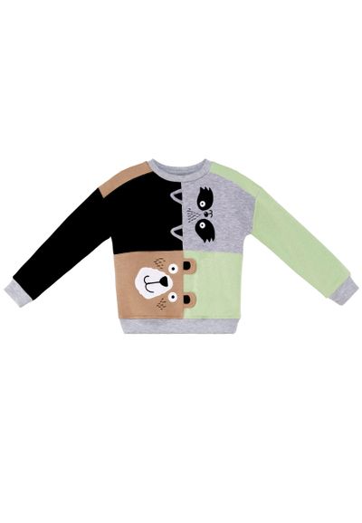 Raccoon & Bear Color Block Sweatshirt Jungen