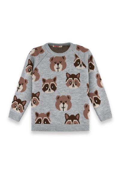 Denokids Bear&Raccoon Strickpullover Jungen