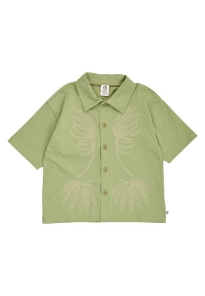 Green Cotton T-Shirt